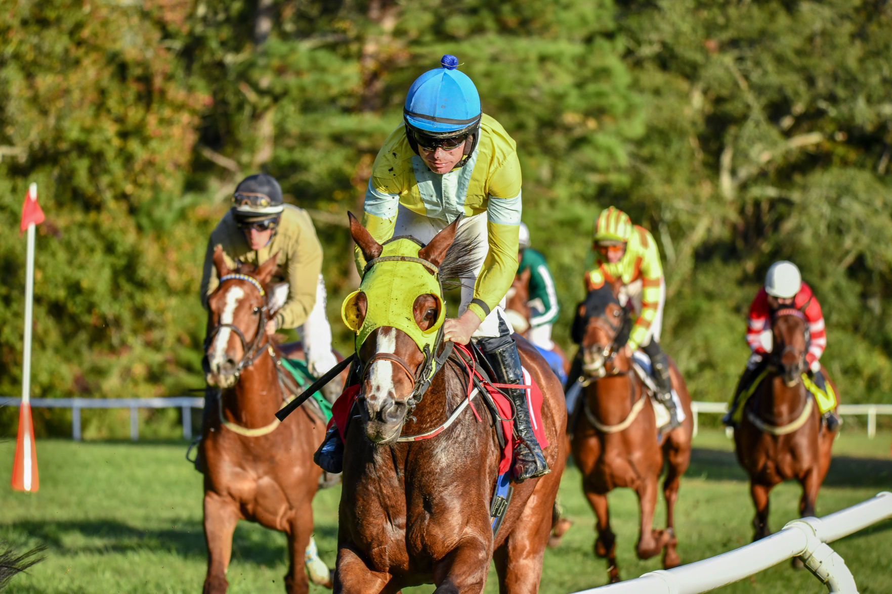 Steeplechase horse race
